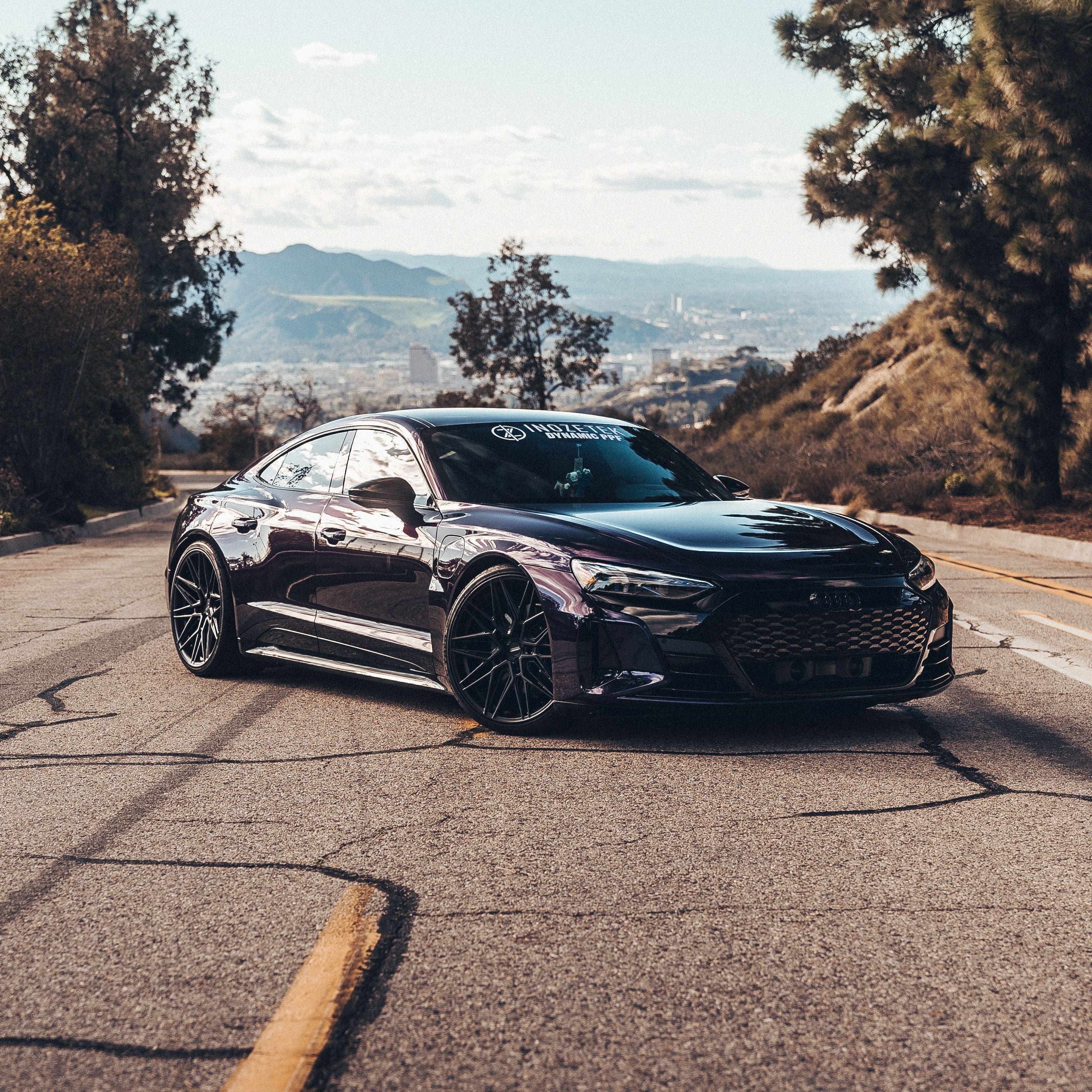 DPPF901 - Metallic Midnight Purple [DRY APPLY]