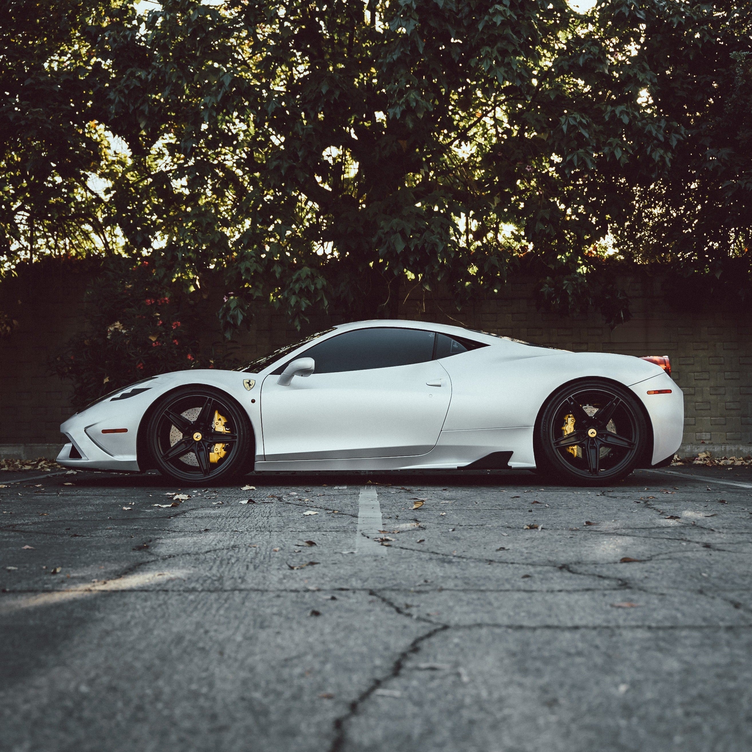 DPPF807 - Satin Pearl White [DRY APPLY]