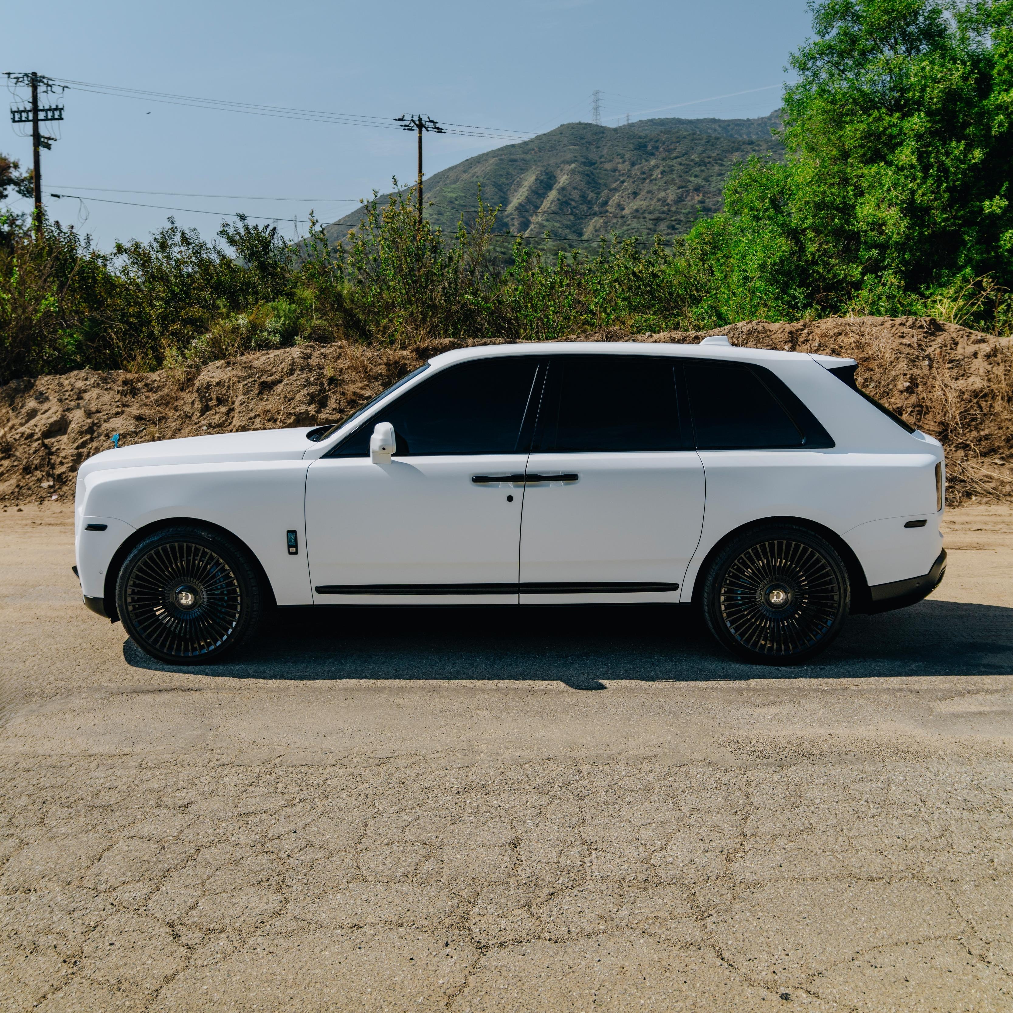 DPPF816 - Frozen Matte White [DRY APPLY]