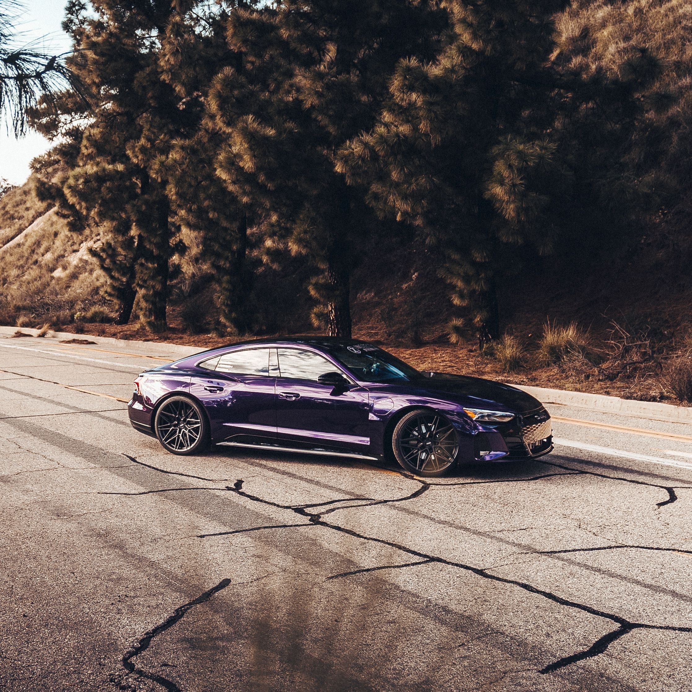 DPPF901 - Metallic Midnight Purple [DRY APPLY]